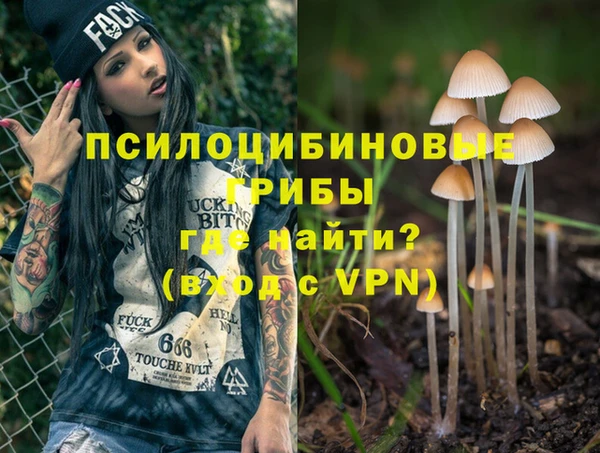 бошки Аркадак